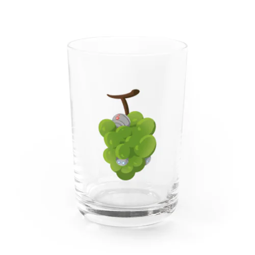 フルロボ マスカット Water Glass