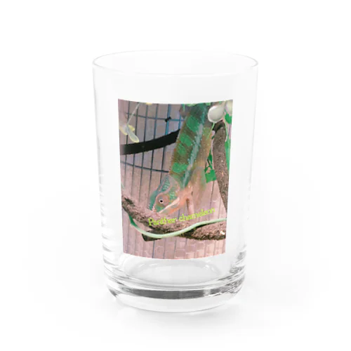 ぱんくん Water Glass