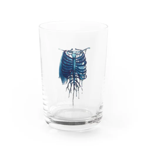 rib of Adam Water Glass