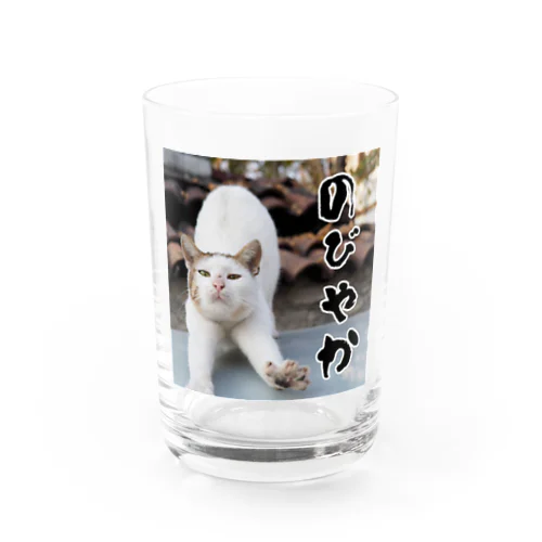 のびやかな猫 グラス