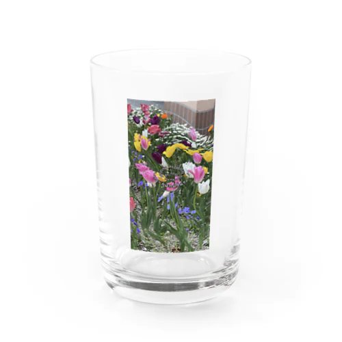 hanahana Water Glass