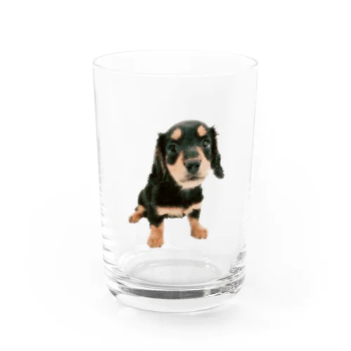 まろんちゃん Water Glass