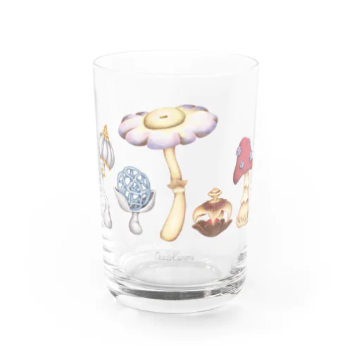 奇妙な名前のきのこ Water Glass