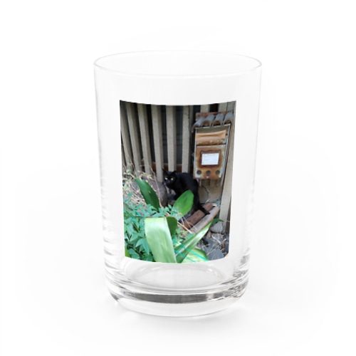 なんかよう？ Water Glass