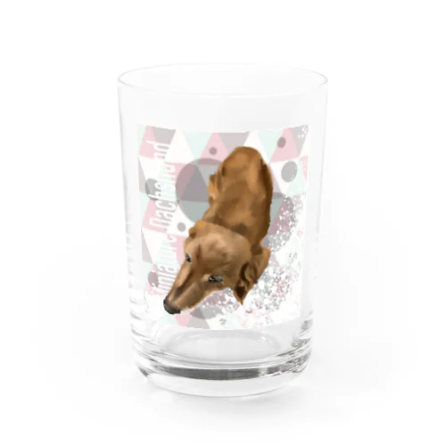 ダックスフンドさん Water Glass