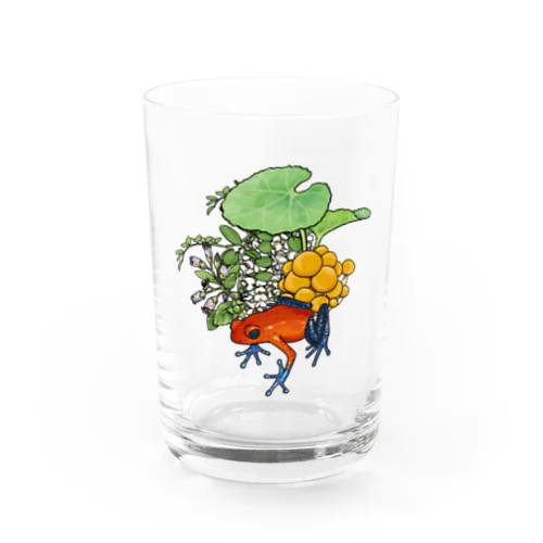 有毒動植綵絵 ヤドクガエル Water Glass