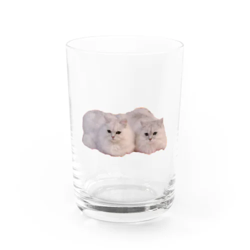 シロクロ Water Glass