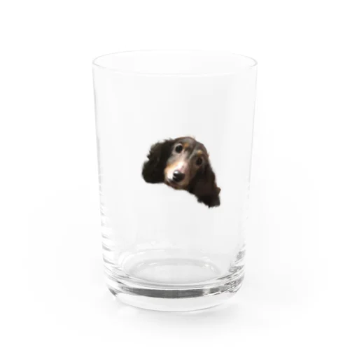 あずきくん Water Glass