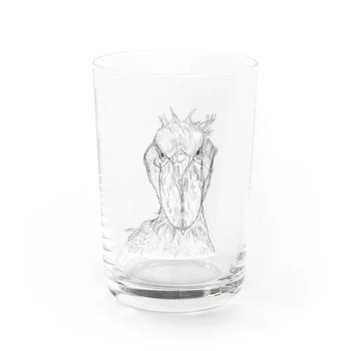 [森図鑑] ハシビロコウの顔 鉛筆画 Water Glass