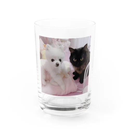 ひとんちのいぬとねこ Water Glass