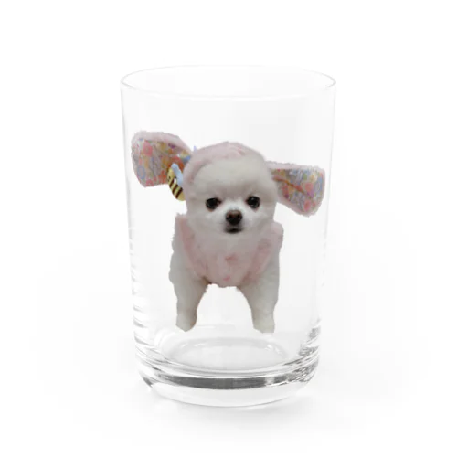 おいぬ3さいのおたんじょうび Water Glass