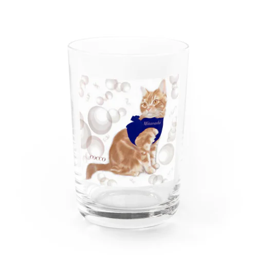 猫のみたらし君 Water Glass