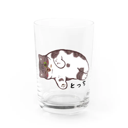 とっちのグラビア Water Glass