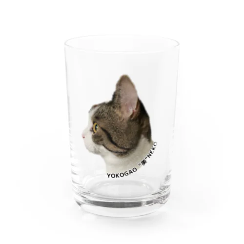 横顔美人猫 Water Glass