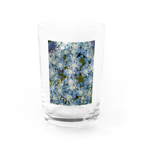 中心部は・・・？ Water Glass