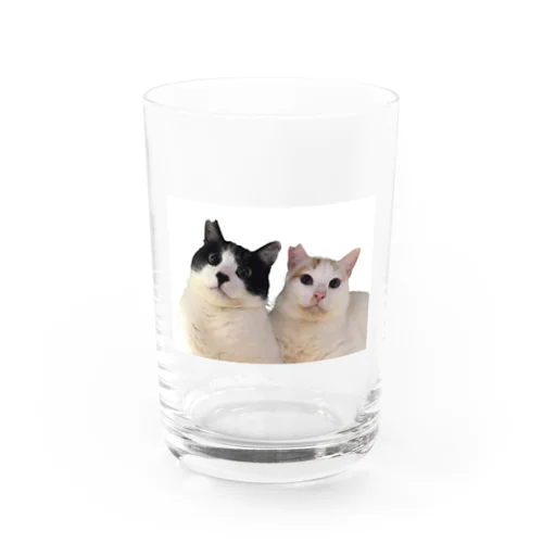 みいたくんとみいとくん Water Glass