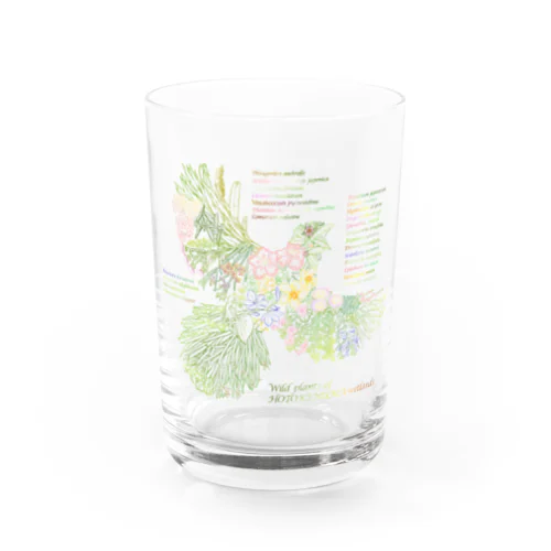 Wild plants of HOTOKENUMA-wetlands（色付き） Water Glass