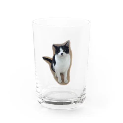 みいとくん Water Glass