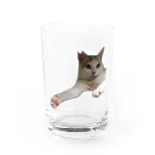 みいた君 Water Glass