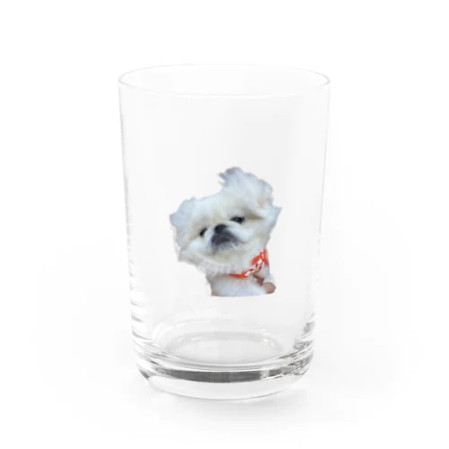 たんたん付き添いロマンス Water Glass