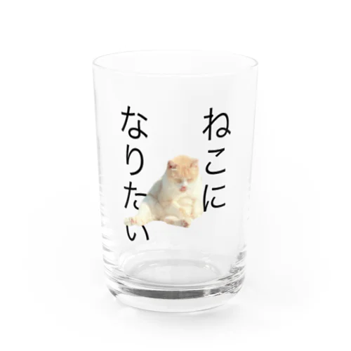 ねこになりたい グラス