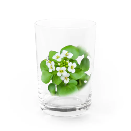 クレソンのお花 Water Glass