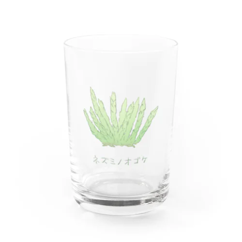 ネズミノオゴケ【苔グッズ】 Water Glass