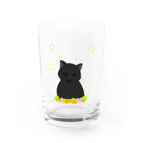 癒し猫 黒猫 Water Glass