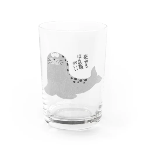 来世もほ乳類がいいアザラシ Water Glass