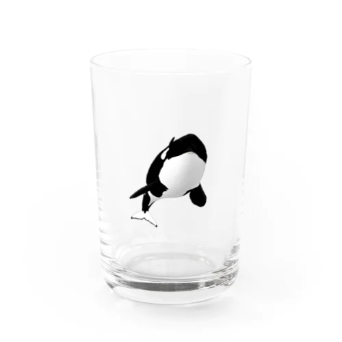 ひょっこりシャチ Water Glass