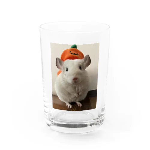 ハロウィンチンチラ Water Glass