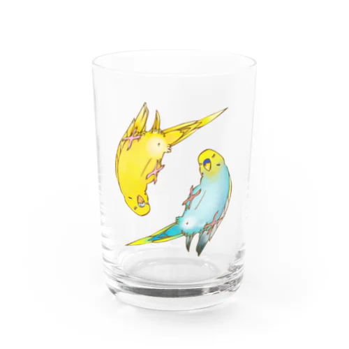 悪い顔のインコたち Water Glass