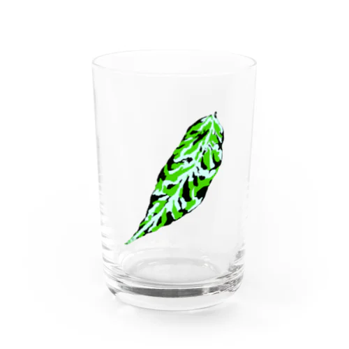 アグラオネマリーフ Water Glass