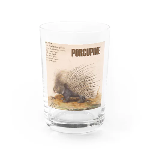 PORCUPINE　ヤマアラシ Water Glass