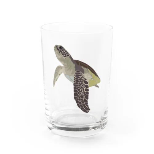 アオウミガメ Water Glass