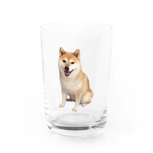 柴犬チビちゃん Water Glass