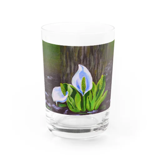 水芭蕉 Water Glass