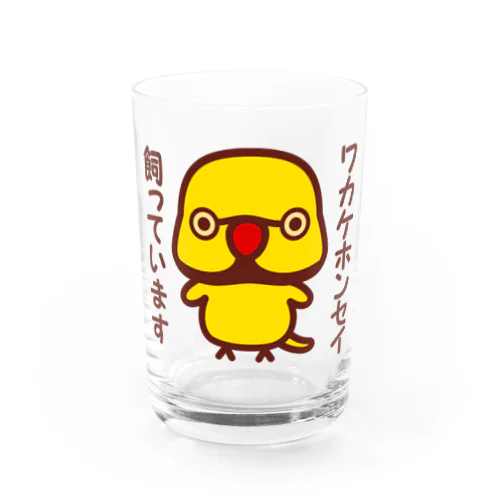 ワカケホンセイインコ飼っています（イエロー♂） Water Glass