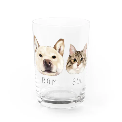 rom & sol Water Glass