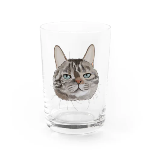 キジトラ柄の猫 Water Glass