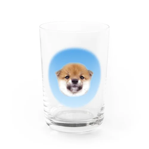 うにくん Water Glass