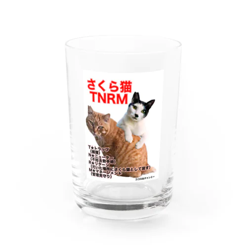 さくら猫チャンミーとココロ Water Glass