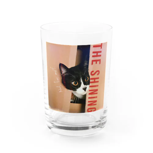 Hachi「THE SHiNiNG」 Water Glass