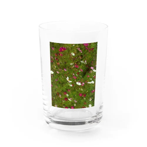 201408311255000　風の中の秋桜 Water Glass