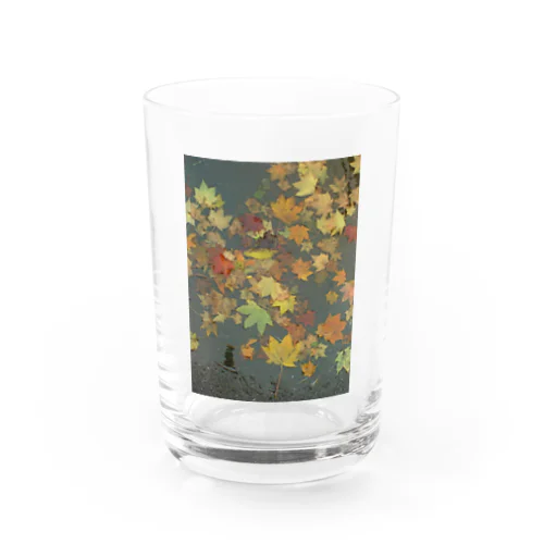 200710081050000　水溜り Water Glass