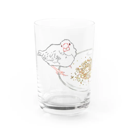 もぐもぐ文鳥さん 線画 Water Glass