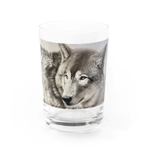 Winds of the Wild Water Glass
