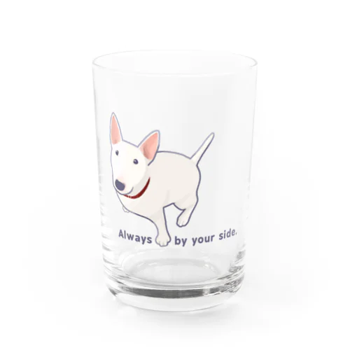 ブルテリア🐾ホワイト Water Glass