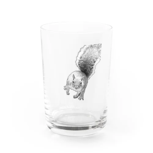 リス Water Glass