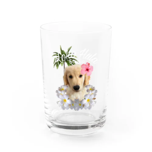 ココちゃんフラスタジオ Water Glass